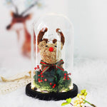 Sapin & Renne de Noel Sous Cloche