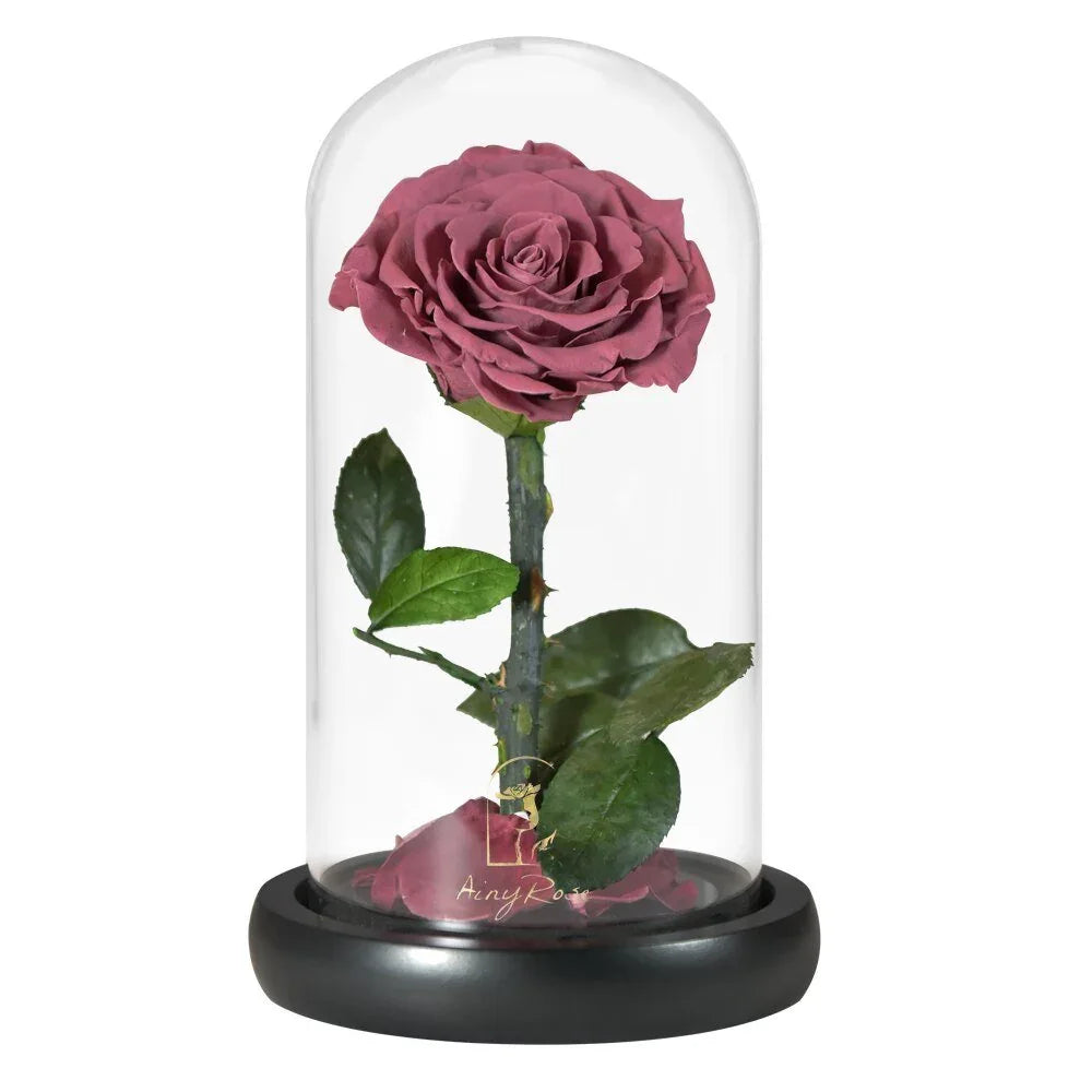 Rose Eternelle en Cœur Sous Cloche ( Choix de Couleur ) - Rose Eternelle La Boutique