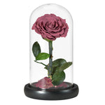 Rose Eternelle en Cœur Sous Cloche ( Choix de Couleur )