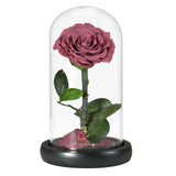 Rose Eternelle en Cœur Sous Cloche ( Choix de Couleur )