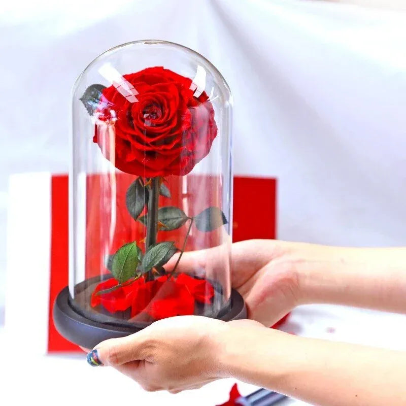 Rose Eternelle en Cœur Sous Cloche ( Choix de Couleur ) - Rose Eternelle La Boutique