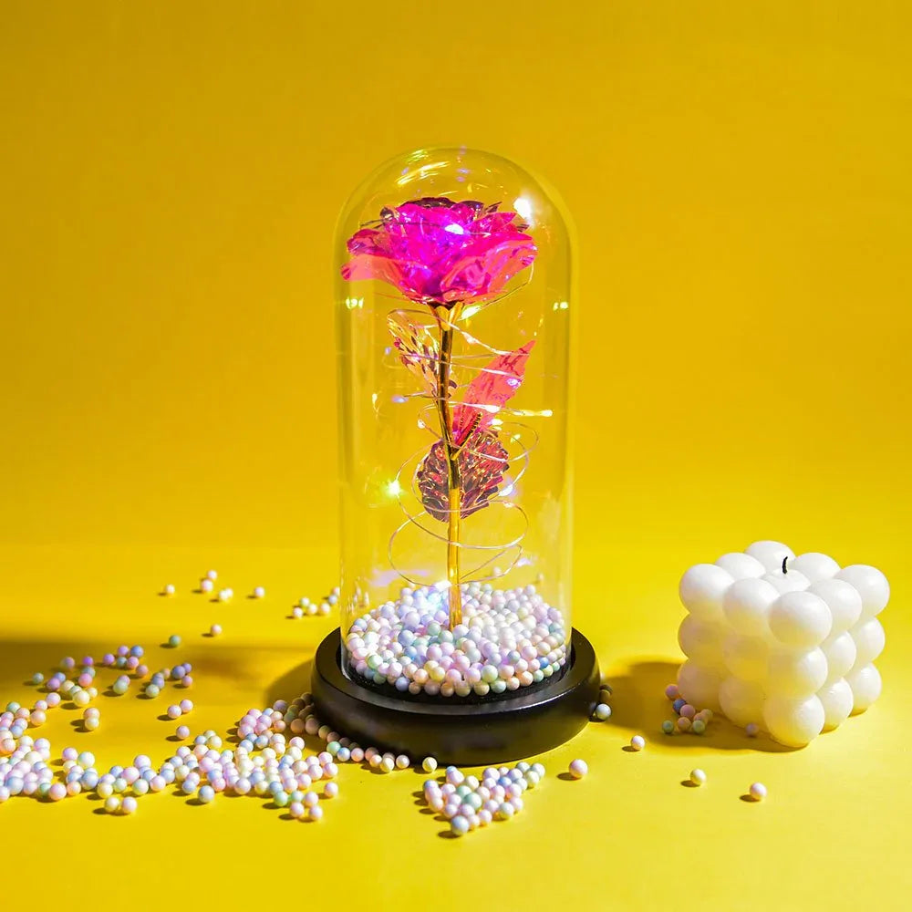 Rose Eternelle Lumineuse & Sous Cloche ( Choix de style ) - Rose Eternelle La Boutique