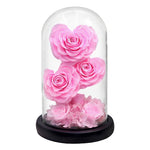 Rose Eternelle en Cœur Sous Cloche ( Choix de Couleur )