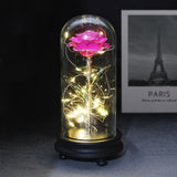 Rose Eternelle Lumineuse Or 24K (Choix de Couleurs)