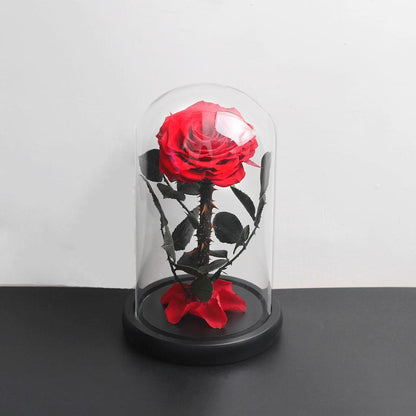 Genuine Prestige Eternal Rose (Farbauswahl)