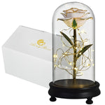 Eblouissante Rose Eternelle Doré  "Ainy Rose" avec Coffret