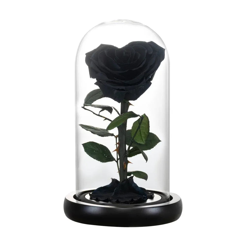 Rose Eternelle en Cœur Sous Cloche ( Choix de Couleur ) - Rose Eternelle La Boutique