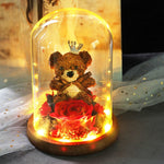 Rose Eternelle Ourson Sous Cloche Marron
