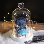 Rose Eternelle Ourson Sous Cloche & LED Bleu