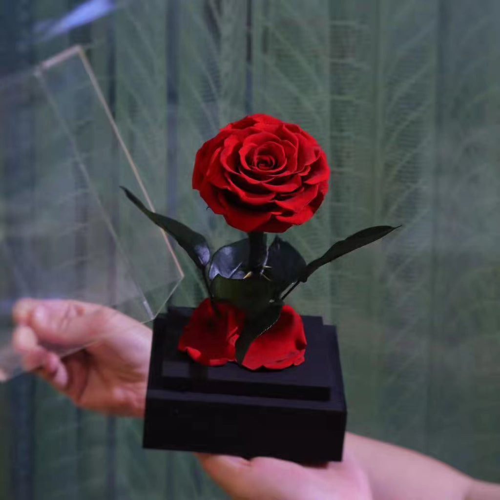 Boîte à fleurs avec rose éternelles rouges - Bouquet de Luxe en