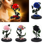 Rose Eternelle Premium (Style au Choix)