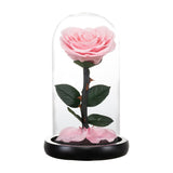 Rose éternelle Collection de Luxe ( Choix de Style )