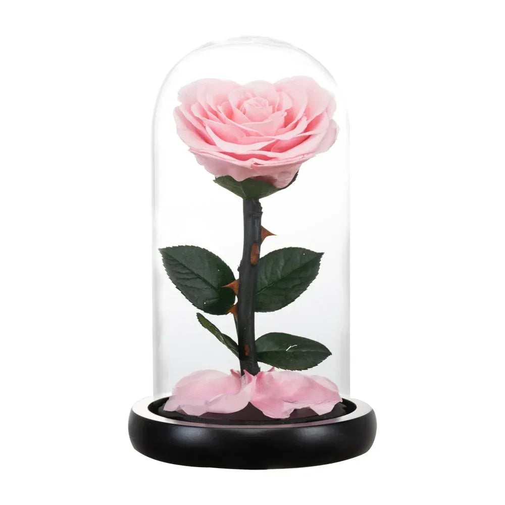 Rose Eternelle en Cœur Sous Cloche ( Choix de Couleur ) - Rose Eternelle La Boutique