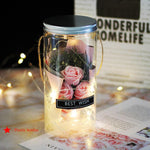 Rose Eternelle La boutique Rose eternelle <br>sous cloche<br> (plusieurs couleur disponible)