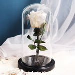 Rose Eternelle Premium (Style au Choix)