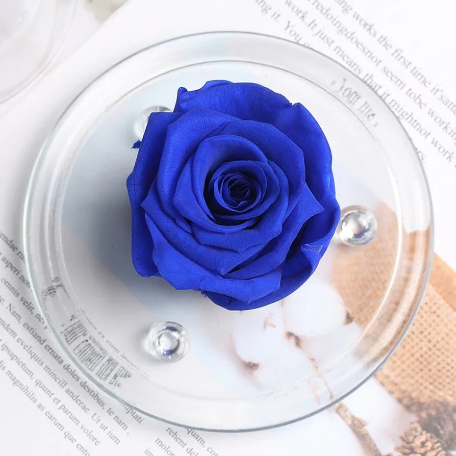 Rose Eternelle Sous Dôme Bleu - Rose Eternelle La Boutique