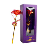 Coffret Rose Éternelle Or 24K – Cadeau de Luxe Inoubliable