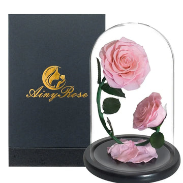 Duo de Rose Eternelle ( Choix de couleur ) - Rose Eternelle La Boutique
