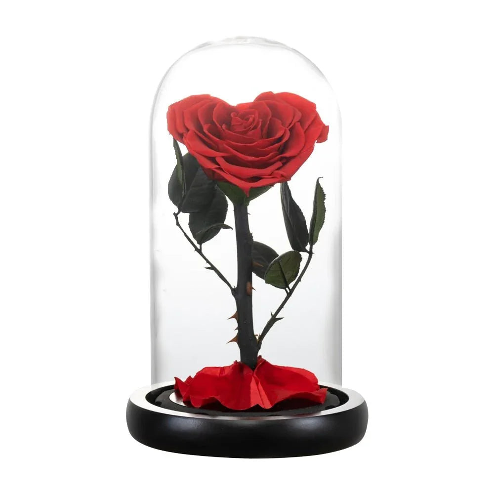 Rose Eternelle en Cœur Sous Cloche ( Choix de Couleur ) - Rose Eternelle La Boutique