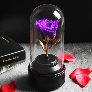 Eternal Rose box a musique violette