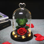 Rose Eternelle Ourson Sous Cloche & LED Vert