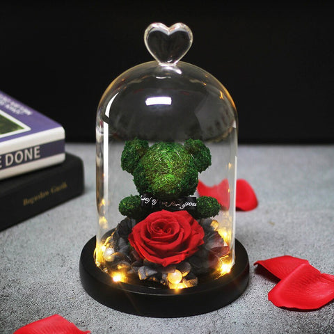 Rose Eternelle Ourson Sous Cloche & LED Vert