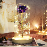 Rose Eternelle Sous Cloche & LED  (Choix De Couleurs)