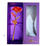 Bundle Pack Rose Eternelle Bleu + Coffret 24k (Choix)