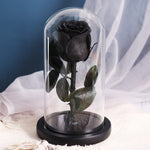 Rose Eternelle Premium (Style au Choix)