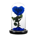 Rose Eternelle en Cœur Sous Cloche ( Choix de Couleur )