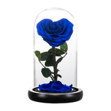 Rose Eternelle en Cœur Sous Cloche ( Choix de Couleur )