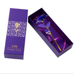 Coffret Rose Éternelle Or 24K – Cadeau de Luxe Inoubliable