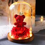 Rose eternelle <br> ourson <br> Rouge - Rose Eternelle La boutique