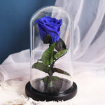 Roses éternelles Sous Cloche (Prenium)