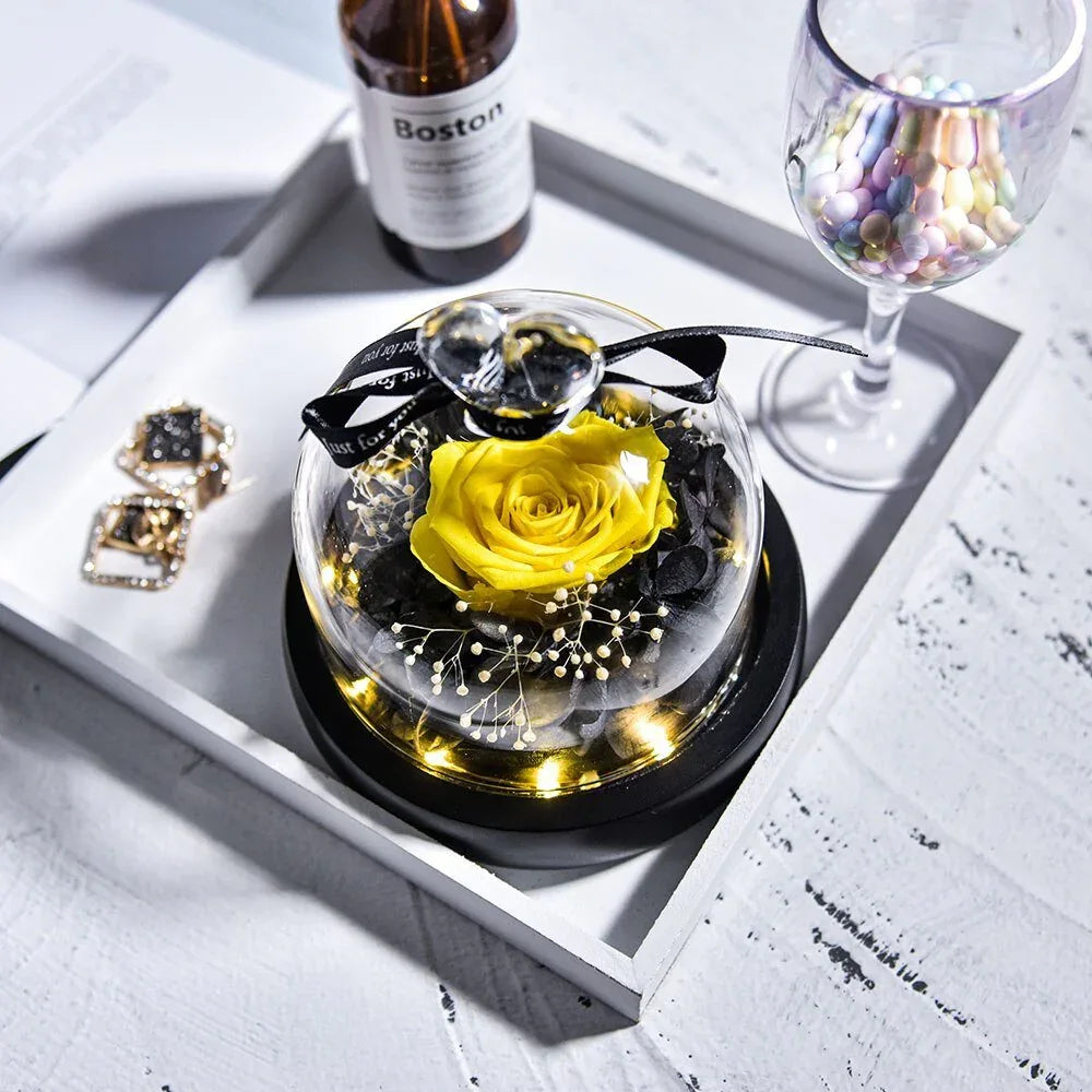 Rose Eternelle Suprême avec Cloche design ( Choix de couleur ) - Rose Eternelle La Boutique