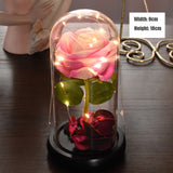 Rose Eternelle & Composition Florale ( Choix )