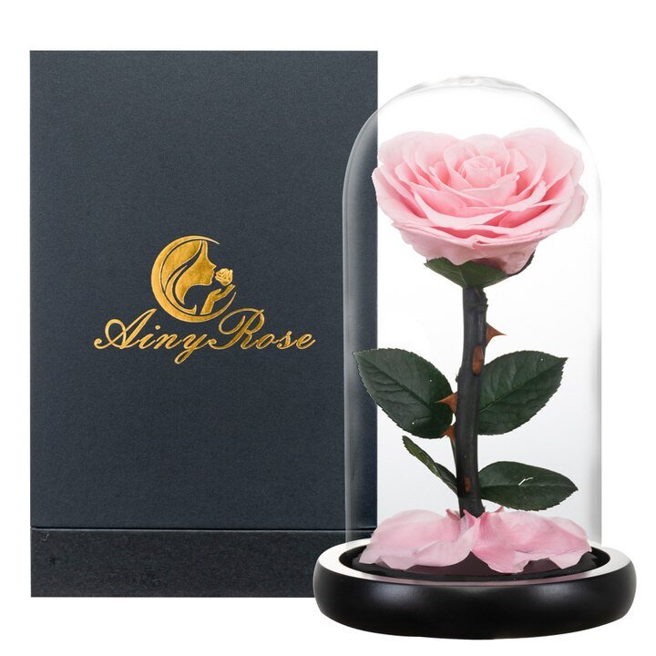 Eternal Rose Luxuskollektion (Stilauswahl)