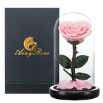 Rose éternelle Collection de Luxe ( Choix de Style )