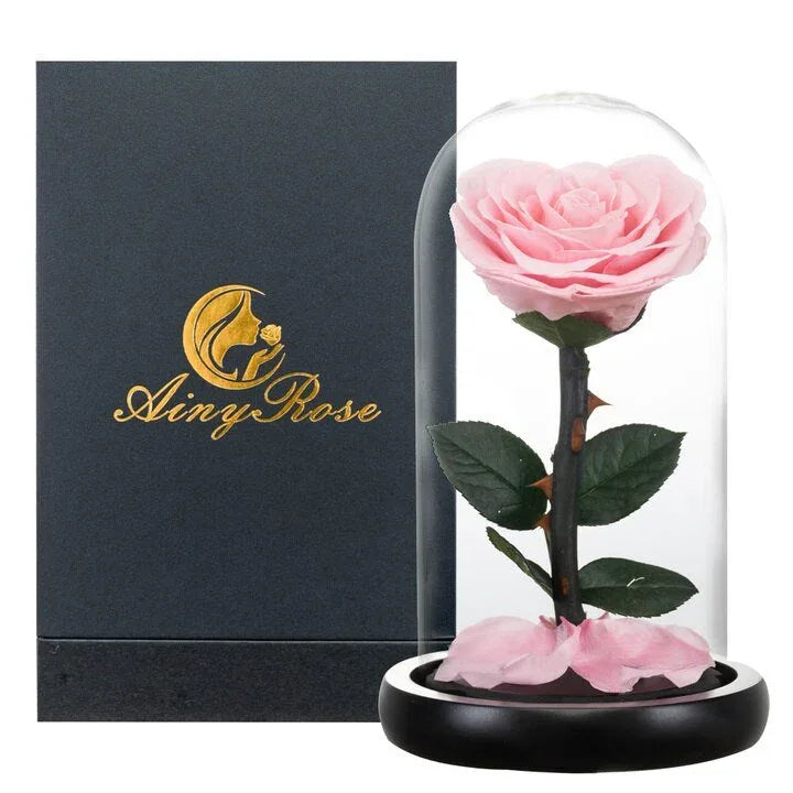 Rose Eternelle en Cœur Sous Cloche ( Choix de Couleur ) - Rose Eternelle La Boutique