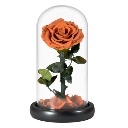 Eternal Rose in a Heart Under Glass Dome (Choice of Colour)