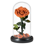 Rose Eternelle en Cœur Sous Cloche ( Choix de Couleur )