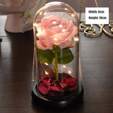 Rose Eternelle & Composition Florale ( Choix )
