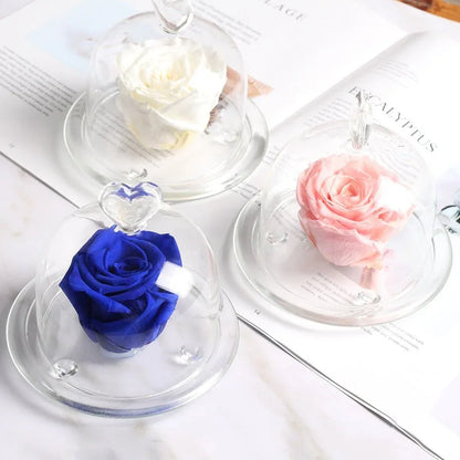 Rose Eternelle Sous Dôme Bleu - Rose Eternelle La Boutique