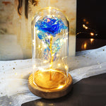 Rose Eternelle Crystal Sous Cloche (Choix de Couleurs)