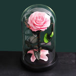 Rose Eternelle Premium (Style au Choix)