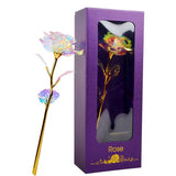 Coffret Rose Éternelle Or 24K – Cadeau de Luxe Inoubliable