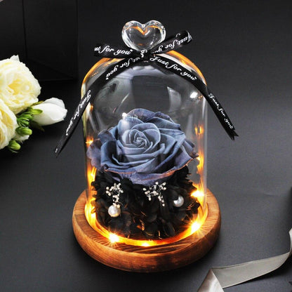 Beautiful Eternal Rose under glass dome glowing