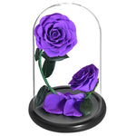 Prestigieux Duo de Rose Eternelle ( Choix de couleur )