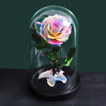 Rose Eternelle Premium (Style au Choix)