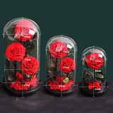 Rose Eternelle Premium (Style au Choix)